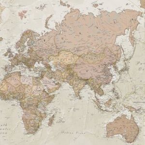 Meet your Posher, Elaine